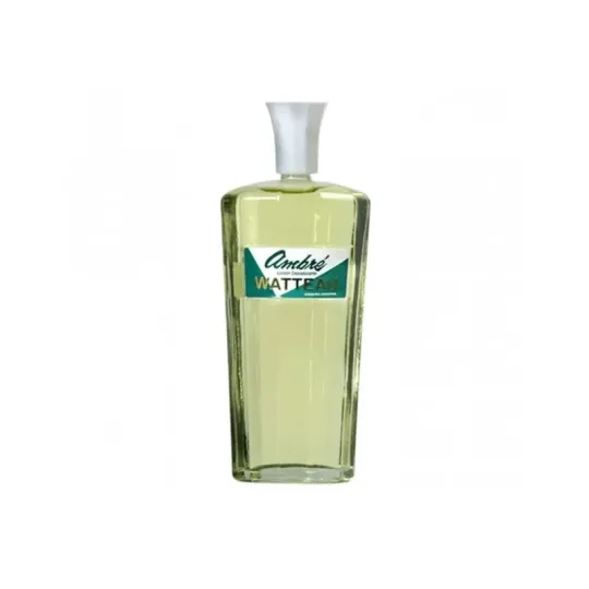 Watteau Loción Ambré X 220 Ml