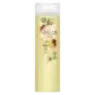 Sedal Shampoo Jengibre Y Ricino 340 Ml